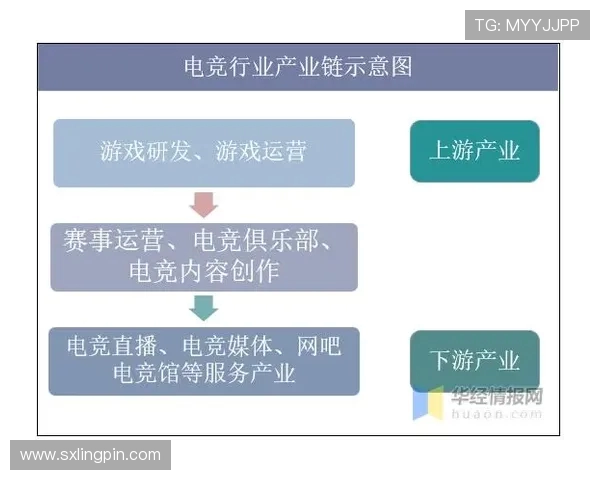 《电竞产业迅猛发展背后：年轻玩家崛起与电竞生态圈的未来趋势》