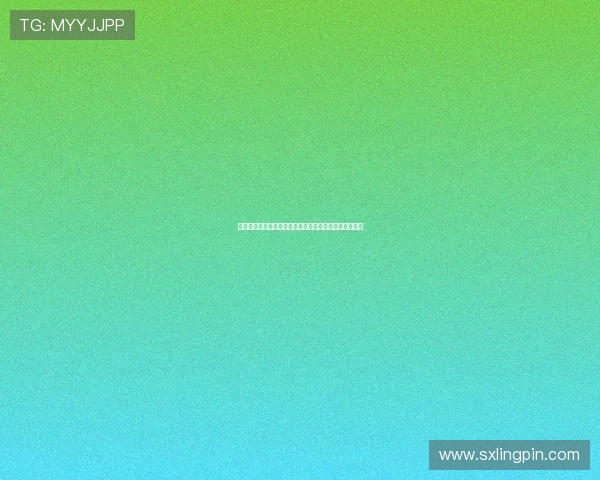 贝尔纳多席尔瓦引领中场艺术曼城战术核心的智慧与灵魂