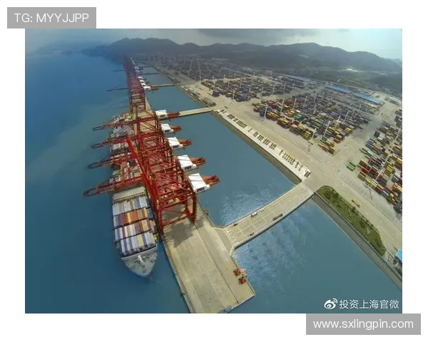 上海海港发展新战略:推动国际航运枢纽建设与区域经济一体化合作 上海海港发展新战略:推动国际航运枢纽建设与区域经济一体化合作