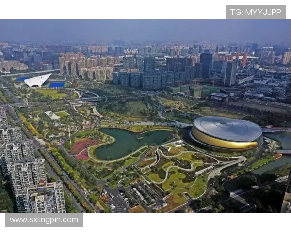 乒乓球运动的魅力与发展趋势分析:从竞技场到全民健身的全景视角 乒乓球运动的魅力与发展趋势分析:从竞技场到全民健身的全景视角