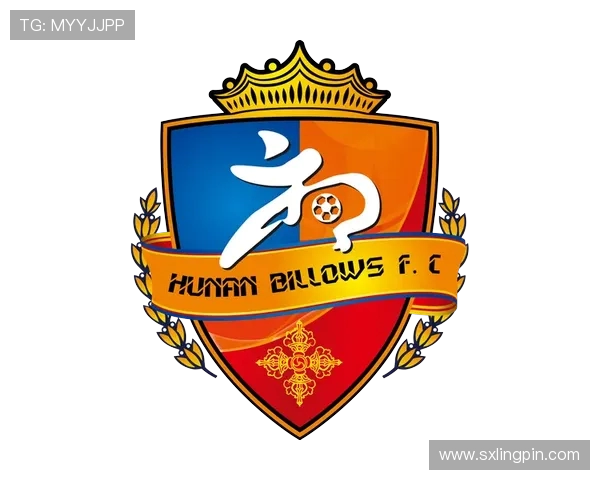 湖南湘涛足球队奋力拼搏,力争重返顶级联赛再创辉煌 湖南湘涛足球队奋力拼搏,力争重返顶级联赛再创辉煌