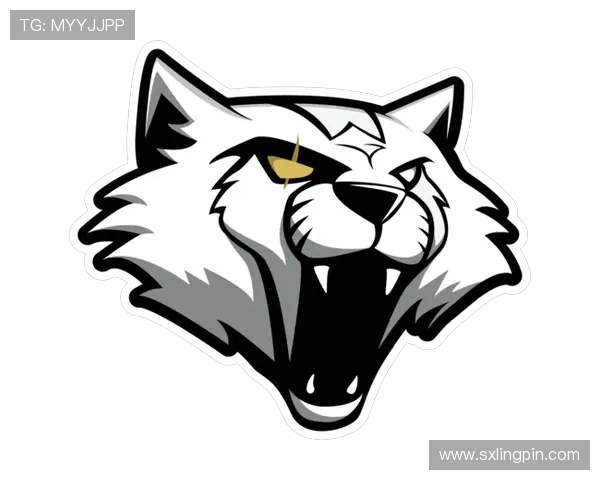 FPX在CSGO比赛中的阵地战表现分析与反思