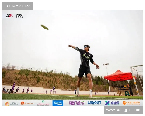 南京飞盘队状态分析与发展前景探讨聚焦飞盘运动的魅力与挑战