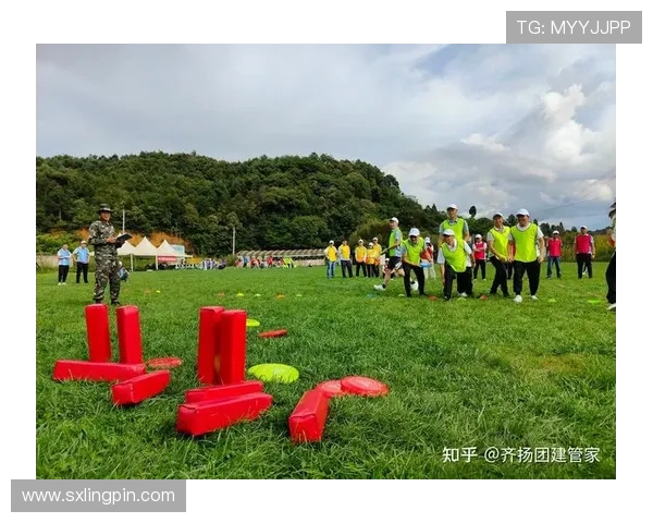 飞盘竞技新视角：深入解析上海飞盘队的战术布局与团队协作